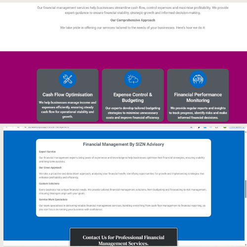Sizn Advisory services preview